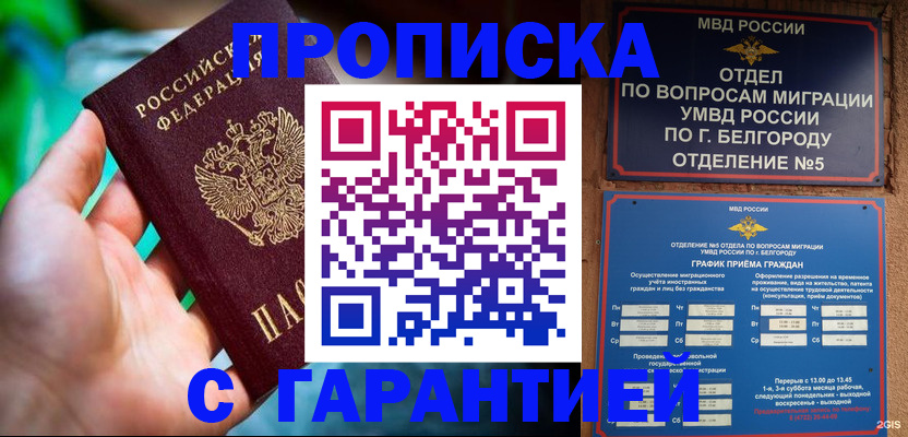 прописка для работы в Камчатской области